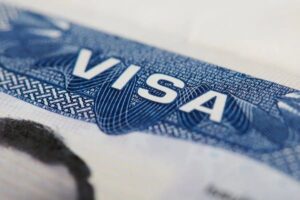 Immigration Consultant in the USA