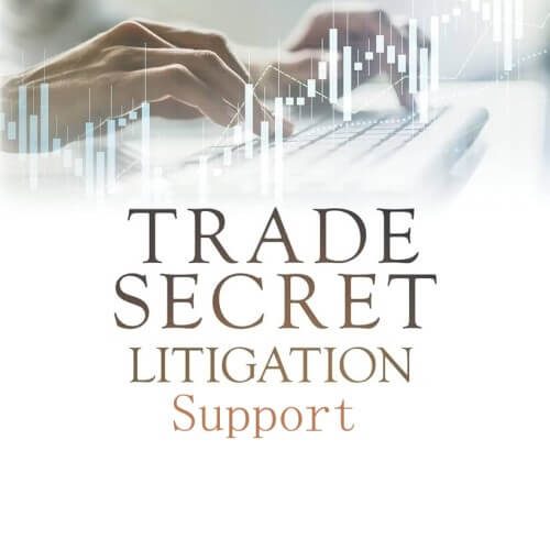 Trade Secret Litigation Support