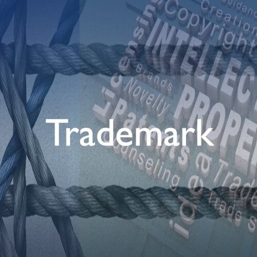 Trademark Portfolio Management